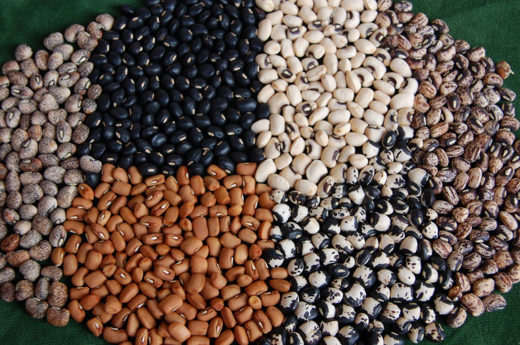 Cowpeas